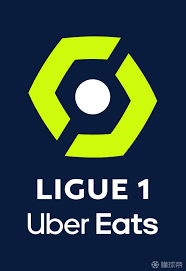  网坛常青树费德勒复出，慈善表演赛筹款破纪录